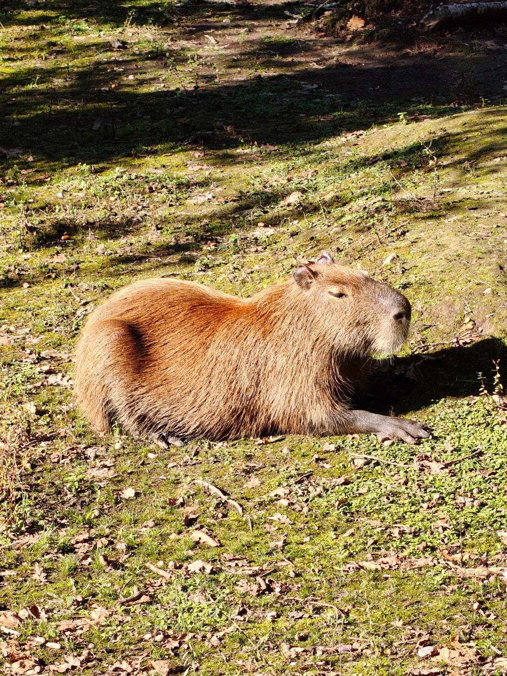 PARCO FAUNISTICO “LA TORBIERA”- SETTEMBRE&nbsp;2025